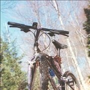 Picture Of Bianchi Bicycle