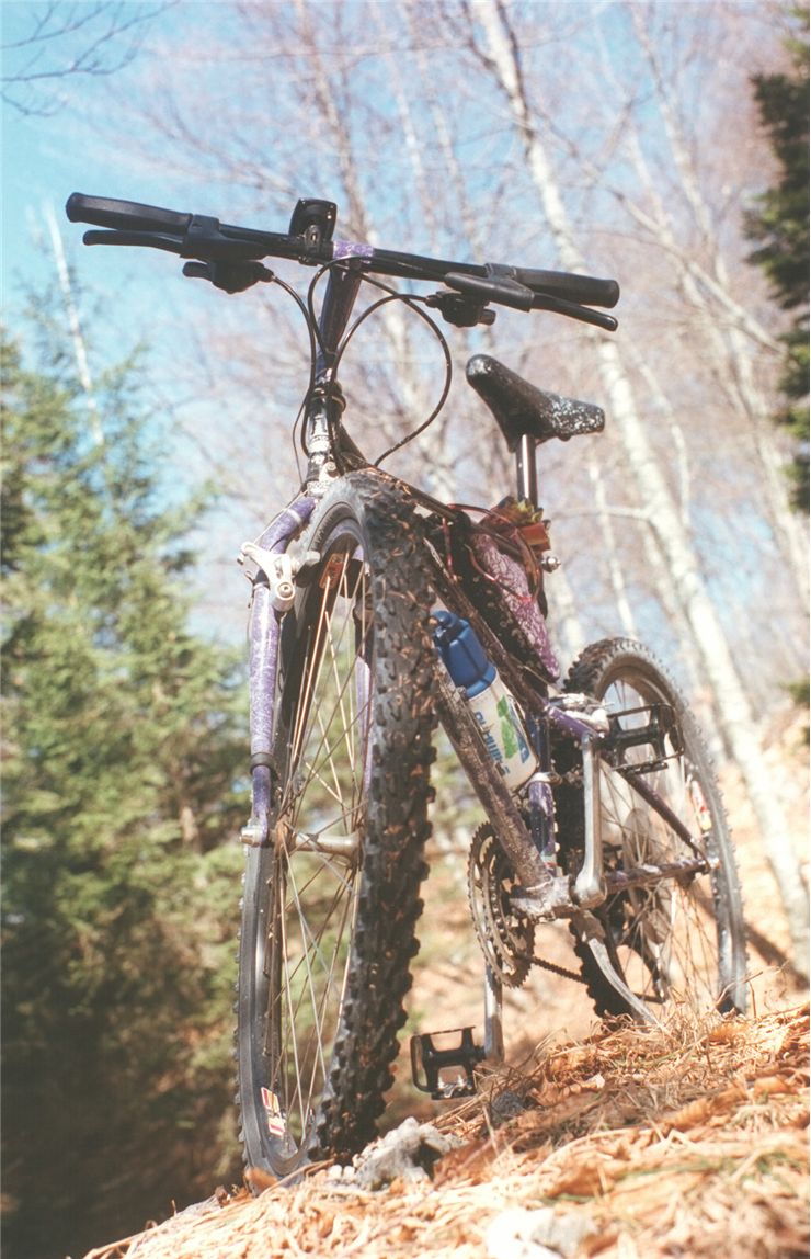 Picture Of Bianchi Bicycle