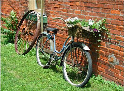 Picture Of Bicycle For Flowers