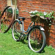 Picture Of Bicycle For Flowers