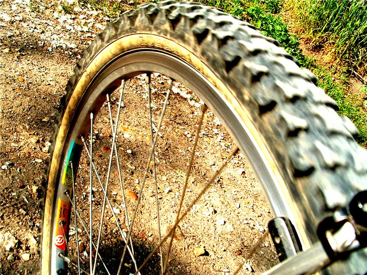 Picture Of Bicycle Wheel