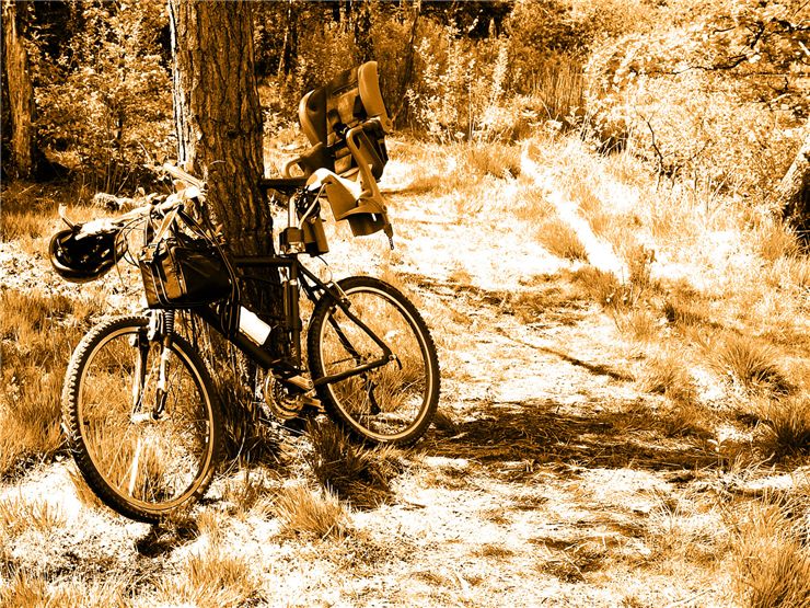 Picture Of Mountain Family Bike